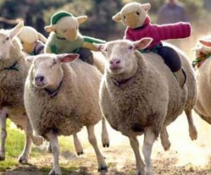 Soñar con ovejas o borregos: Exito y bienestar económico