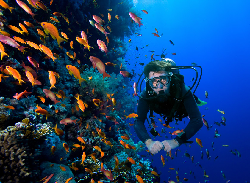 Diver swims through tropical fish on coral reef